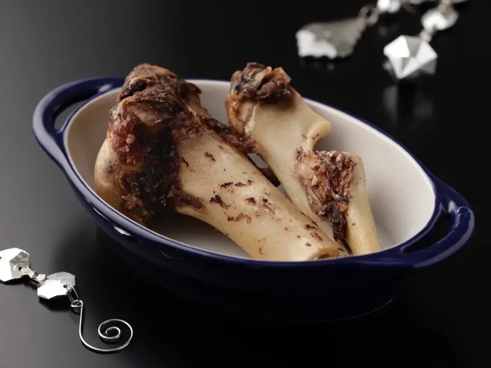 エゾの杜 エゾ鹿の乾燥ボーン