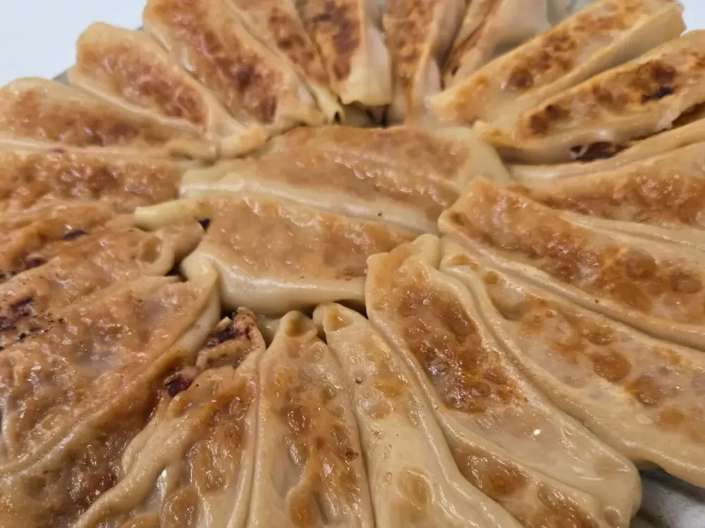 エゾの杜 鹿肉 餃子